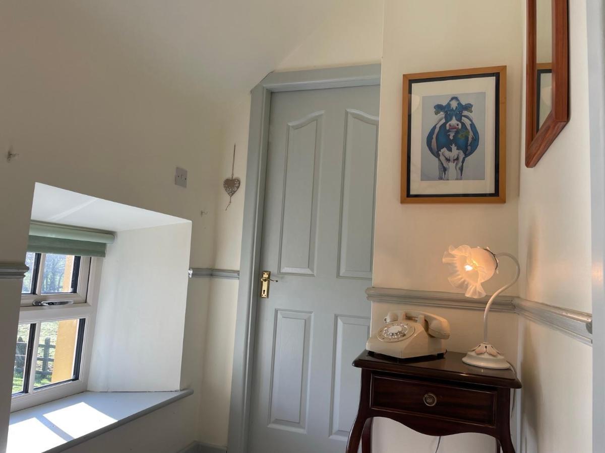 Mai'S Cottage Suite - Charming Holiday Rental Kilmallock Eksteriør billede